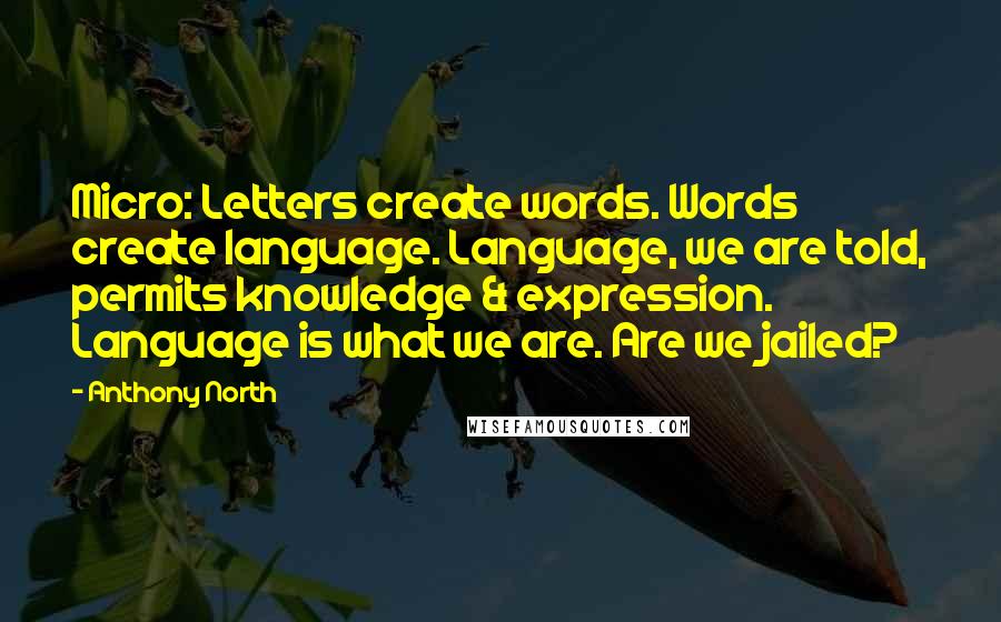 Anthony North Quotes: Micro: Letters create words. Words create language. Language, we are told, permits knowledge & expression. Language is what we are. Are we jailed?