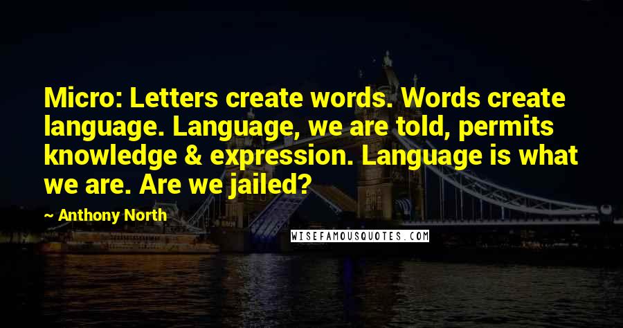 Anthony North Quotes: Micro: Letters create words. Words create language. Language, we are told, permits knowledge & expression. Language is what we are. Are we jailed?