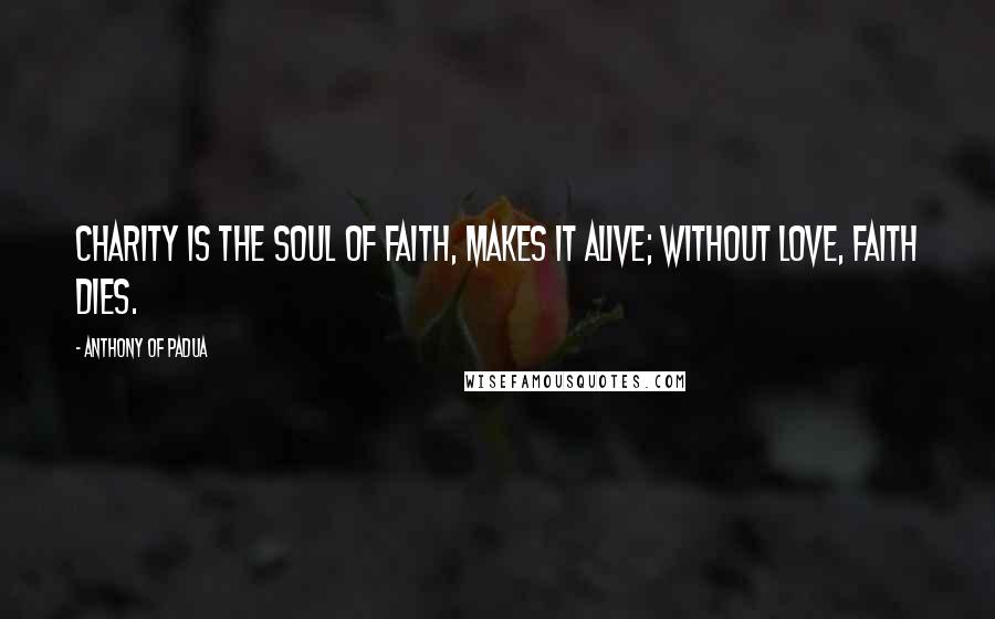 Anthony Of Padua Quotes: Charity is the soul of faith, makes it alive; without love, faith dies.