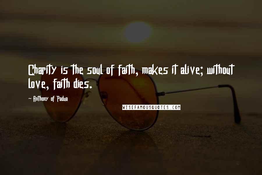 Anthony Of Padua Quotes: Charity is the soul of faith, makes it alive; without love, faith dies.