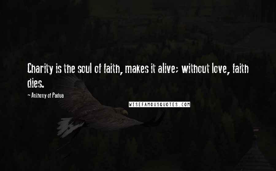 Anthony Of Padua Quotes: Charity is the soul of faith, makes it alive; without love, faith dies.