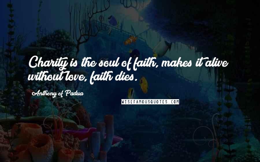 Anthony Of Padua Quotes: Charity is the soul of faith, makes it alive; without love, faith dies.