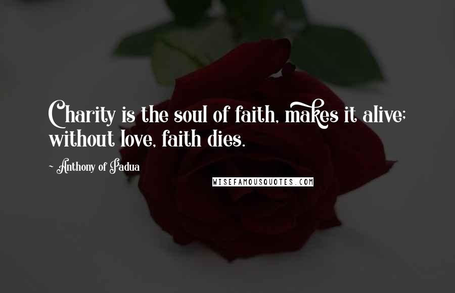 Anthony Of Padua Quotes: Charity is the soul of faith, makes it alive; without love, faith dies.