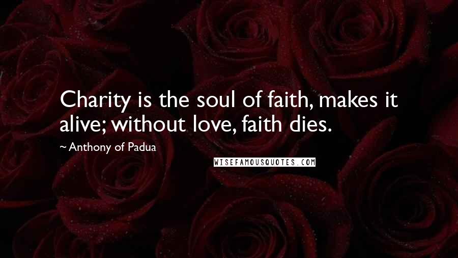 Anthony Of Padua Quotes: Charity is the soul of faith, makes it alive; without love, faith dies.