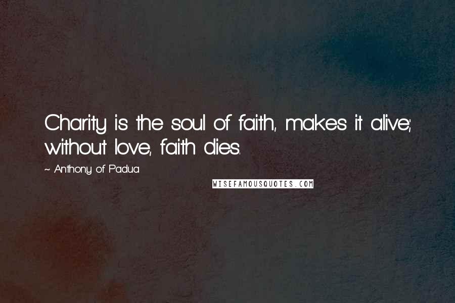 Anthony Of Padua Quotes: Charity is the soul of faith, makes it alive; without love, faith dies.