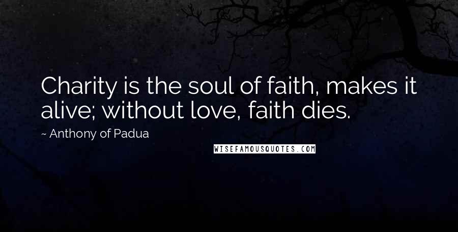 Anthony Of Padua Quotes: Charity is the soul of faith, makes it alive; without love, faith dies.