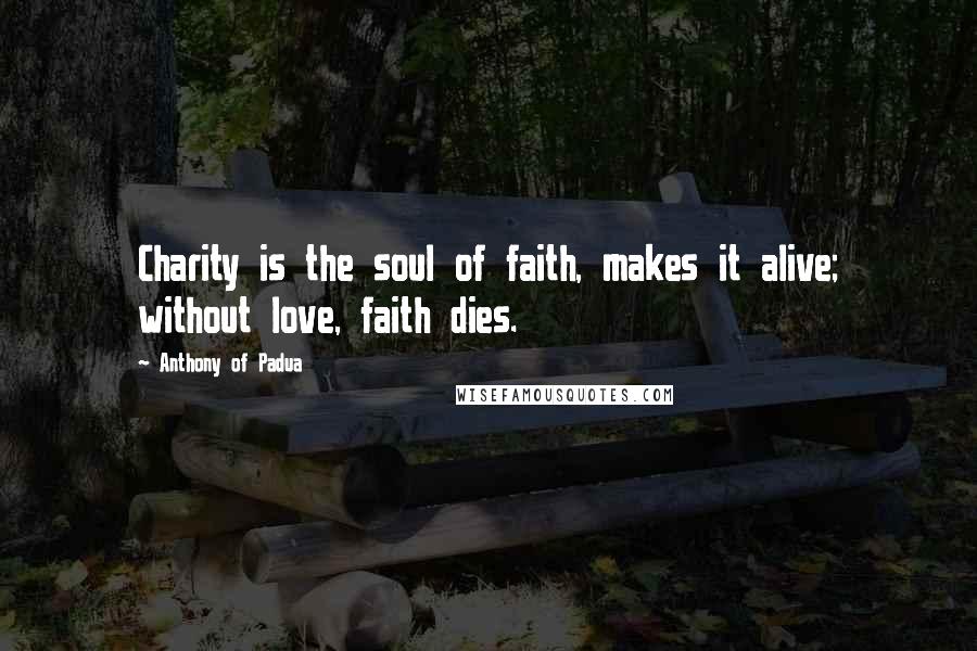 Anthony Of Padua Quotes: Charity is the soul of faith, makes it alive; without love, faith dies.