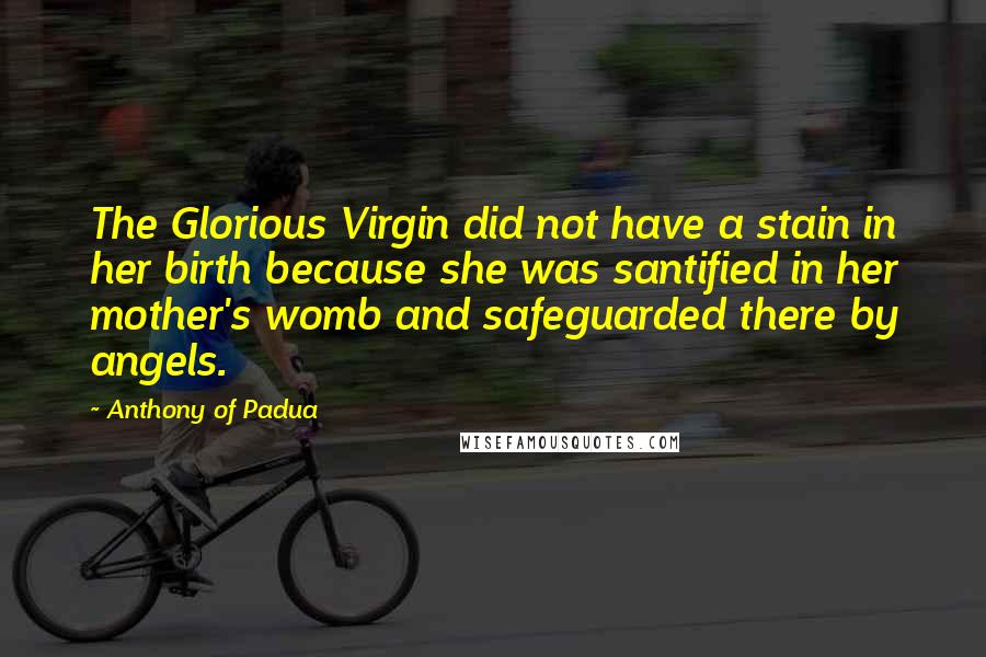 Anthony Of Padua Quotes: The Glorious Virgin did not have a stain in her birth because she was santified in her mother's womb and safeguarded there by angels.