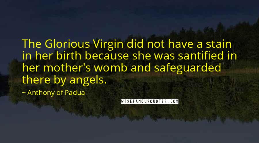 Anthony Of Padua Quotes: The Glorious Virgin did not have a stain in her birth because she was santified in her mother's womb and safeguarded there by angels.