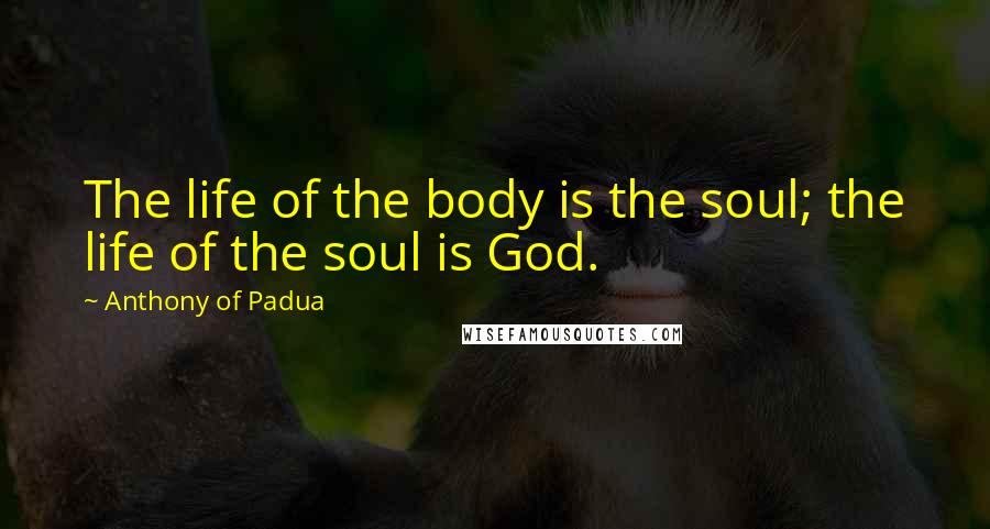 Anthony Of Padua Quotes: The life of the body is the soul; the life of the soul is God.