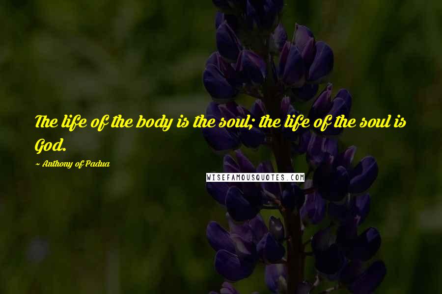 Anthony Of Padua Quotes: The life of the body is the soul; the life of the soul is God.