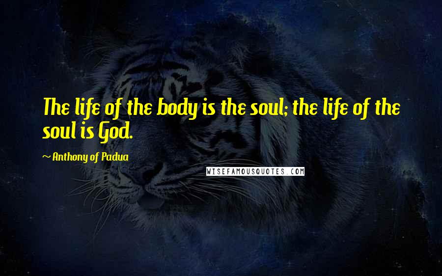 Anthony Of Padua Quotes: The life of the body is the soul; the life of the soul is God.