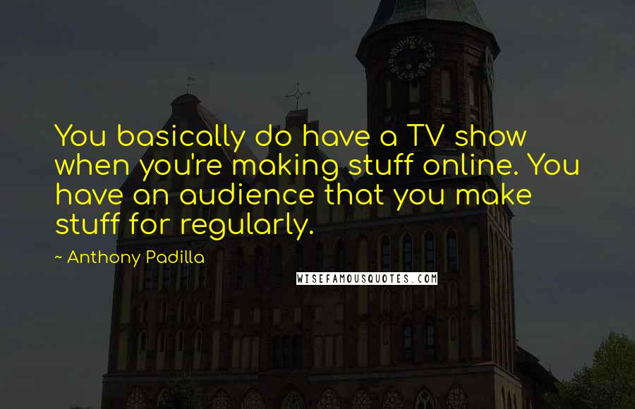 Anthony Padilla Quotes: You basically do have a TV show when you're making stuff online. You have an audience that you make stuff for regularly.