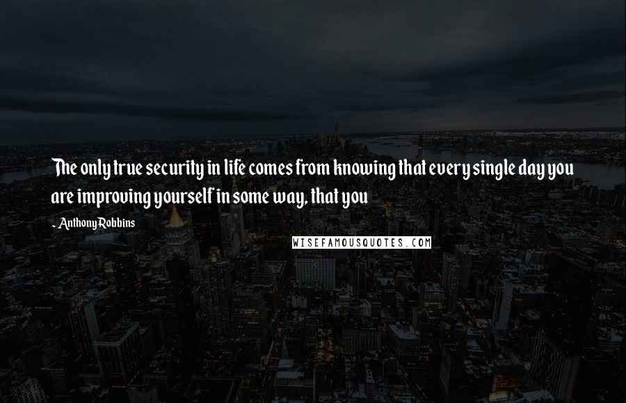 Anthony Robbins Quotes: The only true security in life comes from knowing that every single day you are improving yourself in some way, that you