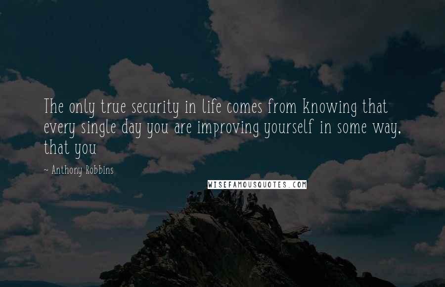 Anthony Robbins Quotes: The only true security in life comes from knowing that every single day you are improving yourself in some way, that you