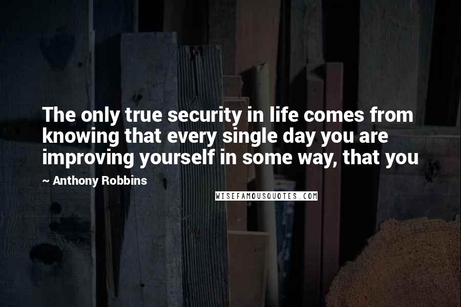 Anthony Robbins Quotes: The only true security in life comes from knowing that every single day you are improving yourself in some way, that you