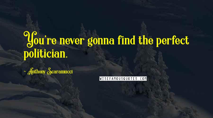 Anthony Scaramucci Quotes: You're never gonna find the perfect politician.