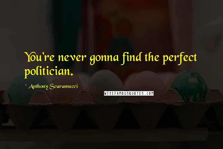 Anthony Scaramucci Quotes: You're never gonna find the perfect politician.