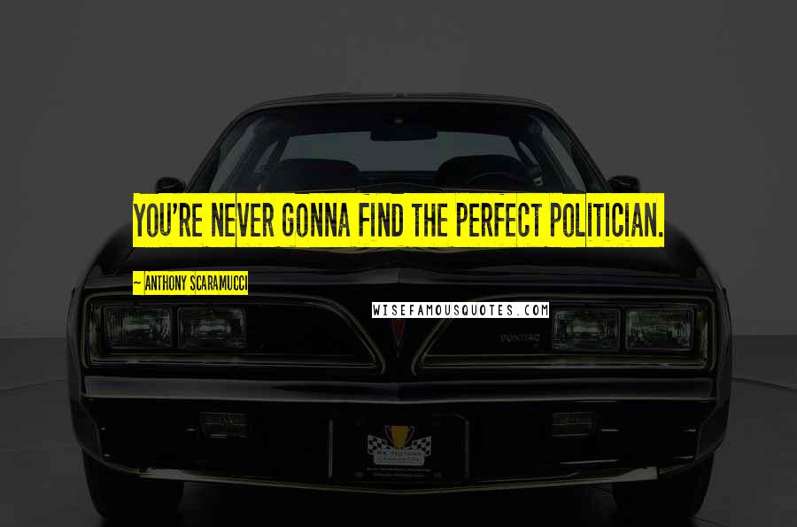 Anthony Scaramucci Quotes: You're never gonna find the perfect politician.