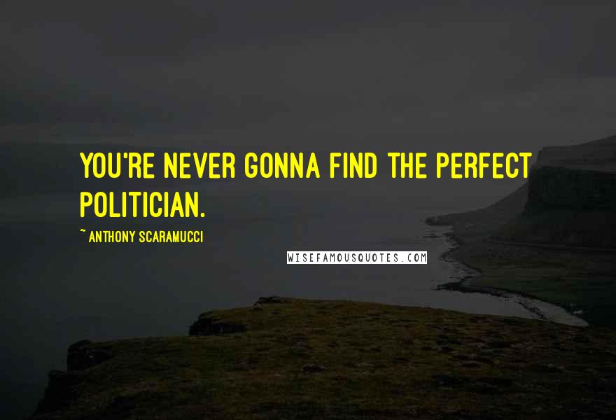 Anthony Scaramucci Quotes: You're never gonna find the perfect politician.
