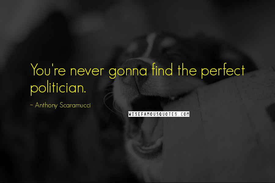 Anthony Scaramucci Quotes: You're never gonna find the perfect politician.