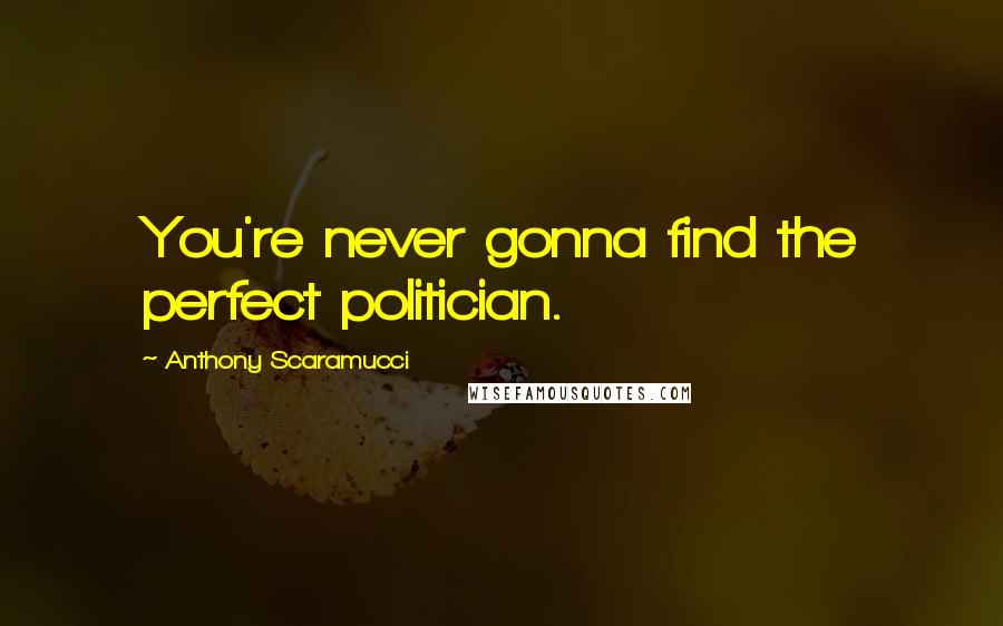 Anthony Scaramucci Quotes: You're never gonna find the perfect politician.