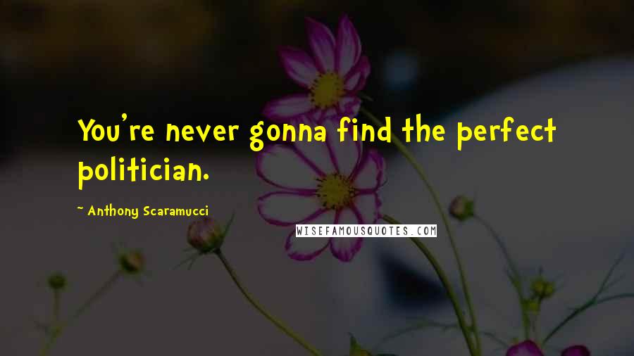 Anthony Scaramucci Quotes: You're never gonna find the perfect politician.