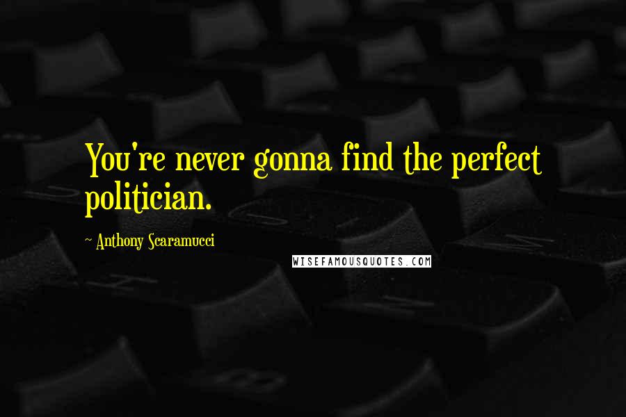 Anthony Scaramucci Quotes: You're never gonna find the perfect politician.
