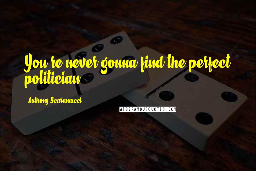 Anthony Scaramucci Quotes: You're never gonna find the perfect politician.