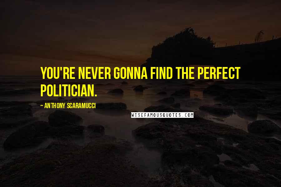 Anthony Scaramucci Quotes: You're never gonna find the perfect politician.