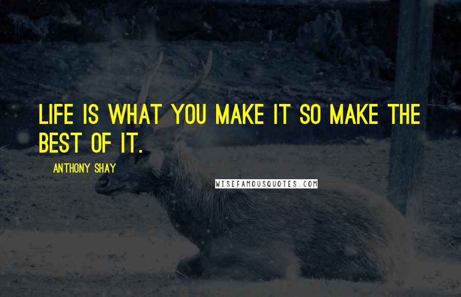 Anthony Shay Quotes: Life is what you make it so make the best of it.