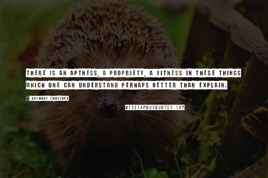 Anthony Trollope Quotes: There is an aptness, a propriety, a fitness in these things which one can understand perhaps better than explain.