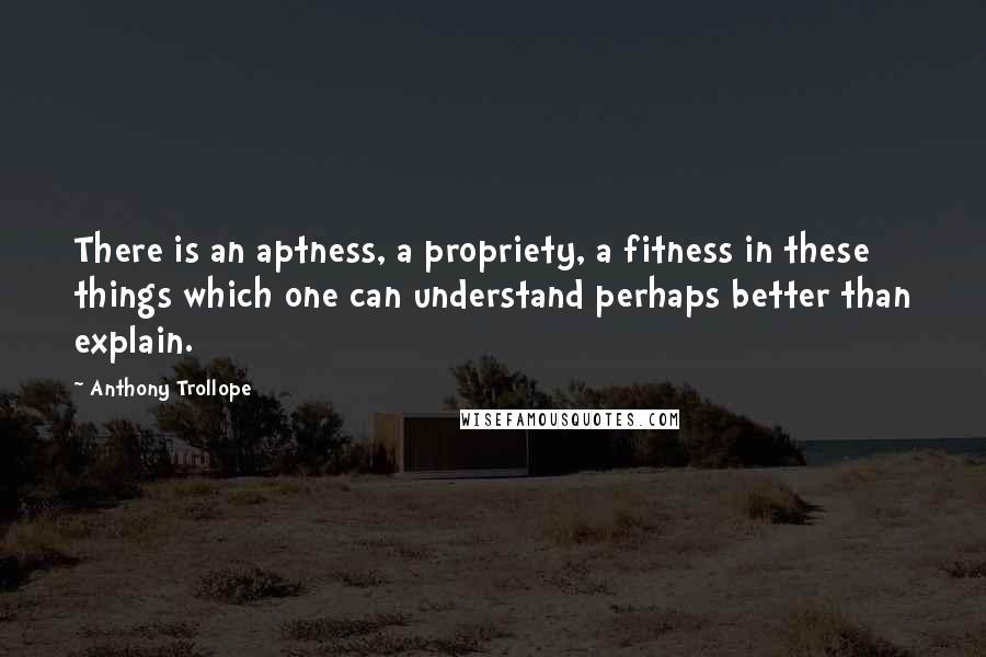 Anthony Trollope Quotes: There is an aptness, a propriety, a fitness in these things which one can understand perhaps better than explain.