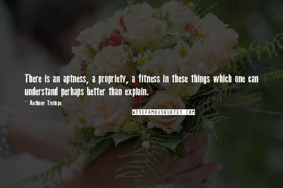 Anthony Trollope Quotes: There is an aptness, a propriety, a fitness in these things which one can understand perhaps better than explain.