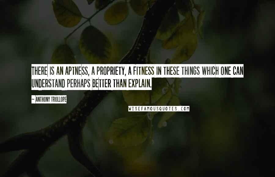 Anthony Trollope Quotes: There is an aptness, a propriety, a fitness in these things which one can understand perhaps better than explain.