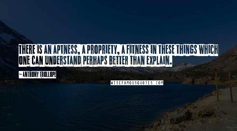 Anthony Trollope Quotes: There is an aptness, a propriety, a fitness in these things which one can understand perhaps better than explain.