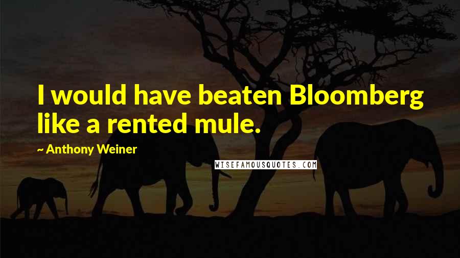 Anthony Weiner Quotes: I would have beaten Bloomberg like a rented mule.