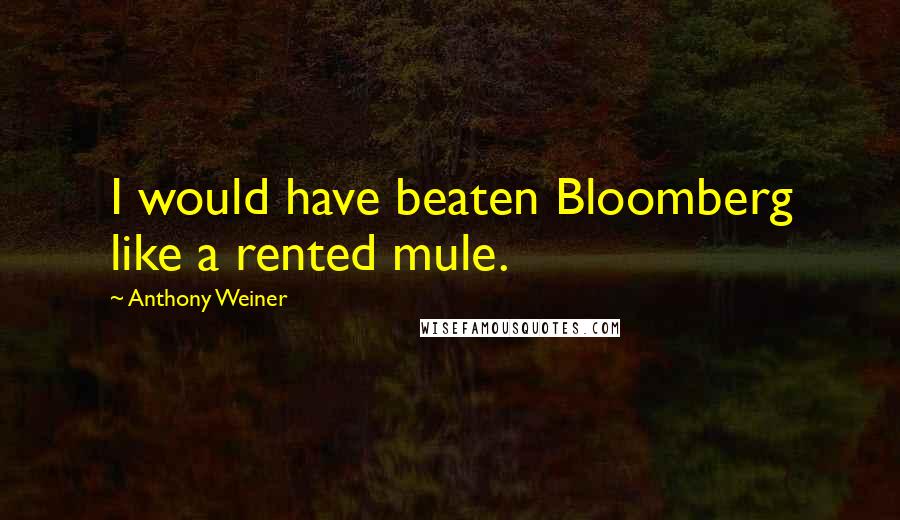 Anthony Weiner Quotes: I would have beaten Bloomberg like a rented mule.