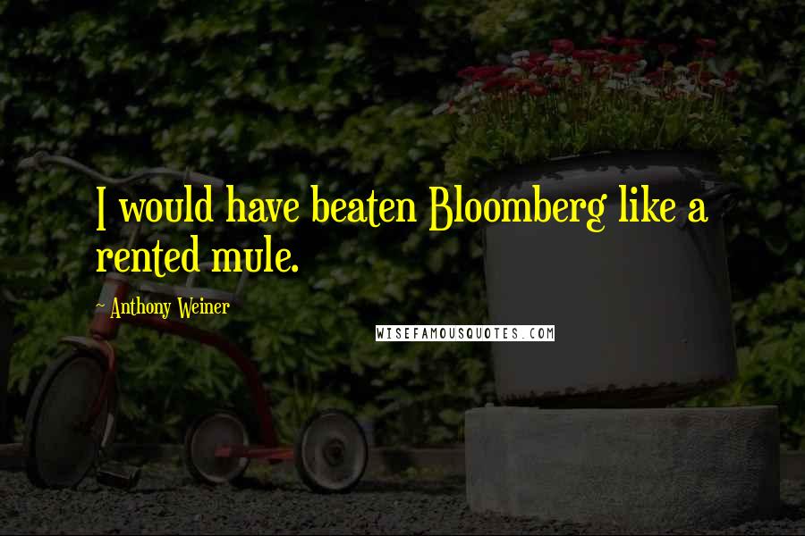Anthony Weiner Quotes: I would have beaten Bloomberg like a rented mule.