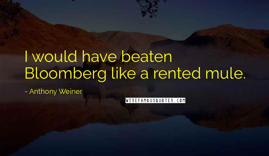 Anthony Weiner Quotes: I would have beaten Bloomberg like a rented mule.