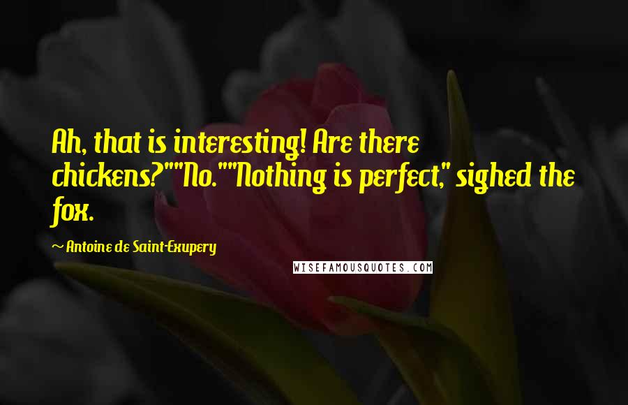 Antoine De Saint-Exupery Quotes: Ah, that is interesting! Are there chickens?""No.""Nothing is perfect," sighed the fox.