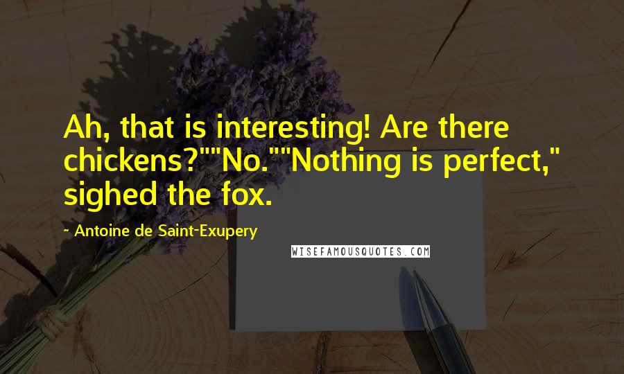 Antoine De Saint-Exupery Quotes: Ah, that is interesting! Are there chickens?""No.""Nothing is perfect," sighed the fox.