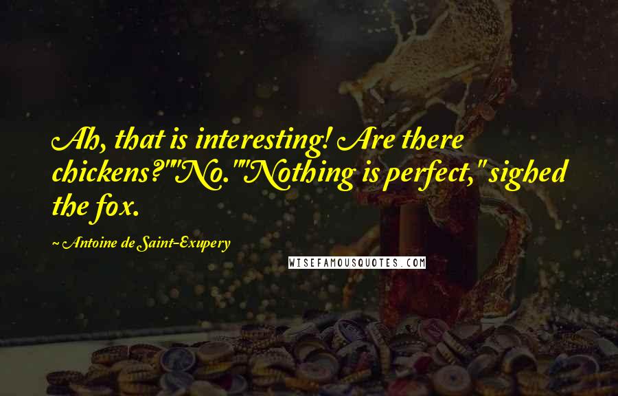 Antoine De Saint-Exupery Quotes: Ah, that is interesting! Are there chickens?""No.""Nothing is perfect," sighed the fox.