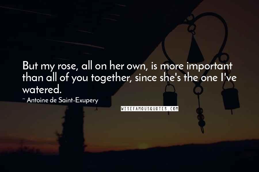 Antoine De Saint-Exupery Quotes: But my rose, all on her own, is more important than all of you together, since she's the one I've watered.