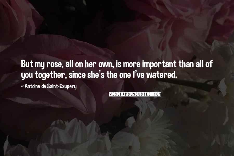 Antoine De Saint-Exupery Quotes: But my rose, all on her own, is more important than all of you together, since she's the one I've watered.