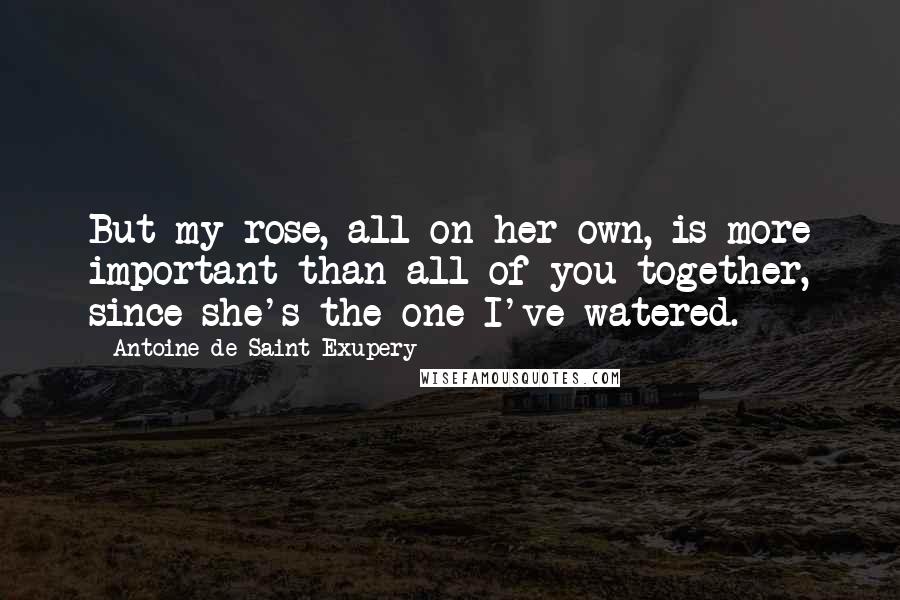 Antoine De Saint-Exupery Quotes: But my rose, all on her own, is more important than all of you together, since she's the one I've watered.