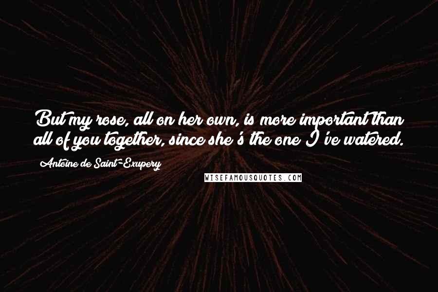 Antoine De Saint-Exupery Quotes: But my rose, all on her own, is more important than all of you together, since she's the one I've watered.