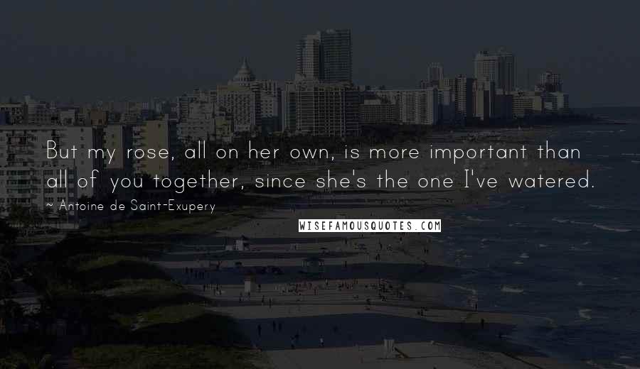 Antoine De Saint-Exupery Quotes: But my rose, all on her own, is more important than all of you together, since she's the one I've watered.