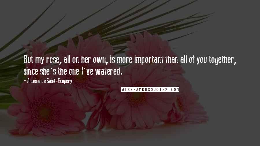 Antoine De Saint-Exupery Quotes: But my rose, all on her own, is more important than all of you together, since she's the one I've watered.