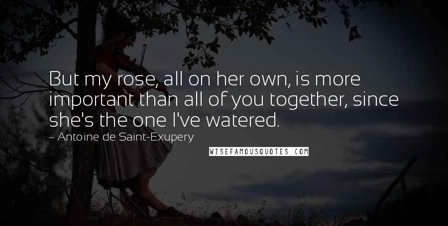 Antoine De Saint-Exupery Quotes: But my rose, all on her own, is more important than all of you together, since she's the one I've watered.